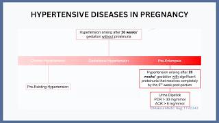 Hypertensive Diseases in Pregnancy Explained