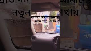 প্রতিদিন নতুন কিছু শেখা মানে নিজেকে আরও একটু এগিয়ে নেওয়া। ।#LearningEveryday #BanglaShorts