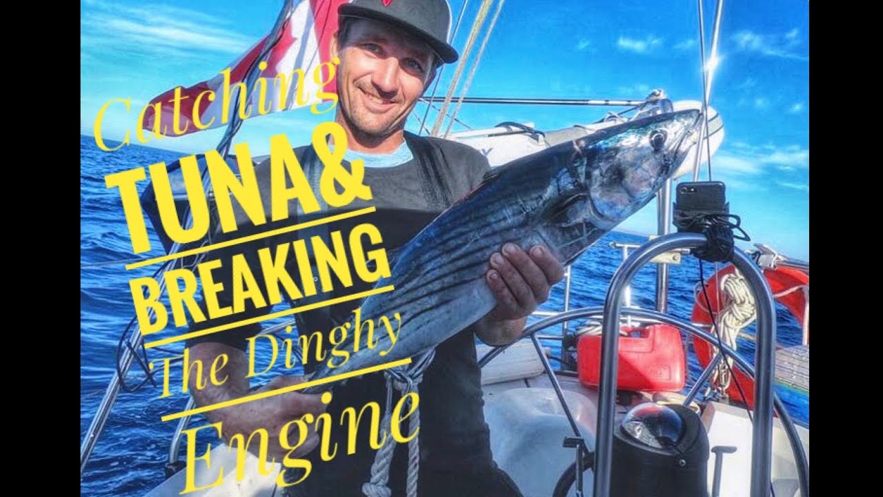 Catching Tuna On The Baja Coast Vlog#22