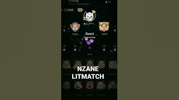 Litmatch: Indonesia Bug room/Dating mode