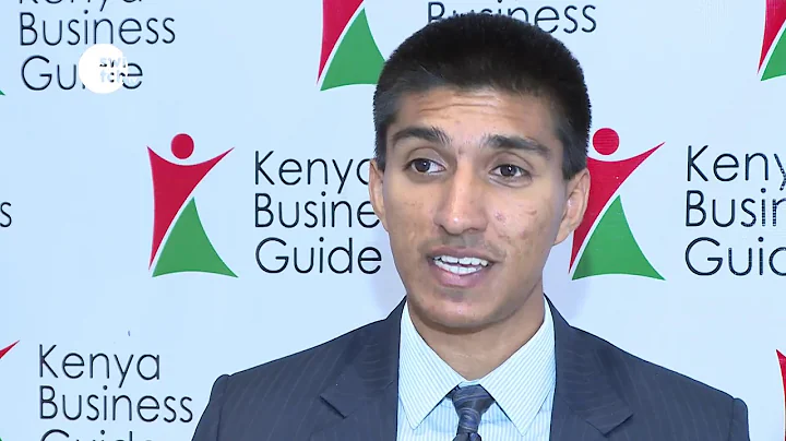 GOVERNMENT ENTITIES PRIVATIZATION