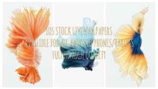 ALL IOS LIVE WALLPAPERS FOR ALL ANDROID TABLETS/PHONES FREE DOWNLOAD screenshot 2