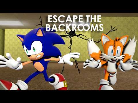 SONIC AND TAILS ESCAPE THE BACKROOMS