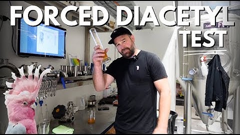 How To Do A Forced Diacetyl Test