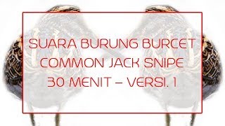 MASTER SUARA BURUNG BURCET VERSI 1 - COMMON JACK SNIPE CALL SOUND - 30 MENIT