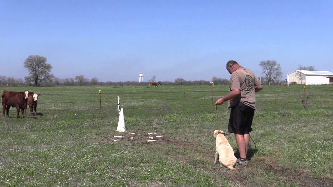 Introduction to pile work