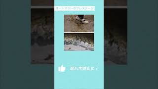 オートマットのプレステージ