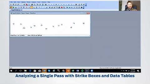 Animal Gait Analysis Insights from the Strideway System
