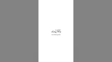 ﴿لقد أنزلنا آيات مبينات والله يهدي من يشاء إلى صراط مستقيم﴾ سورة النور ياسر الدوسريMuslim book