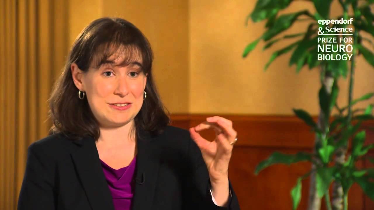 Eppendorf & Science Prize – Winner 2012