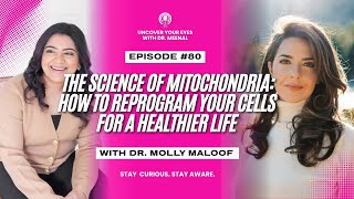 Why Mitochondria Matter: The Hidden Secret to Extending Your Healthspan With Dr. Molly Maloof