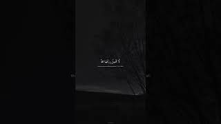 Tik Tok Dz 2023 - Jdid Rai 2023 Rai 2023 Tik Tok Algeria 2023 Rai Jdid 2023 Tiktok 2