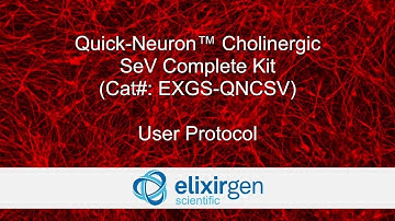 Protocol for Quick-Neuron Cholinergic - SeV Complete Kit