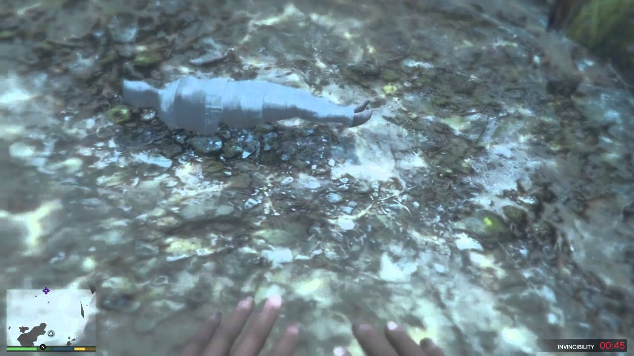 Merle Abrams Gta 5~Merle Abrahams Mystery Body Found - YouTube