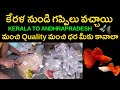 Kerala guppys imported kerala to andhrapradesh guppy fish  impored kerla guppys unboxing