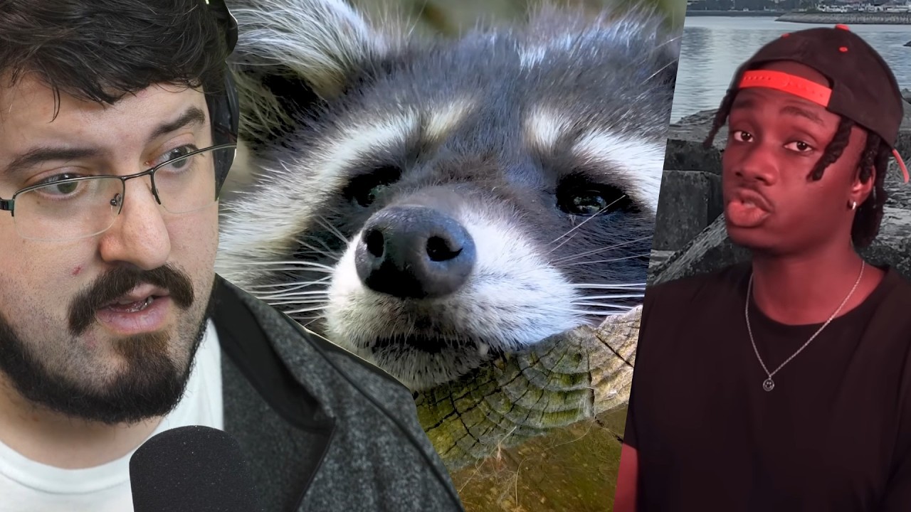 Trash Panda Dominance [Casual Geographic]