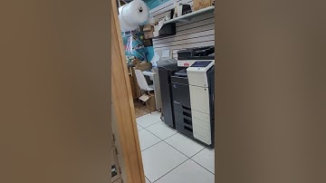 How Our Document Shredding Process Works | Secure & Affordable