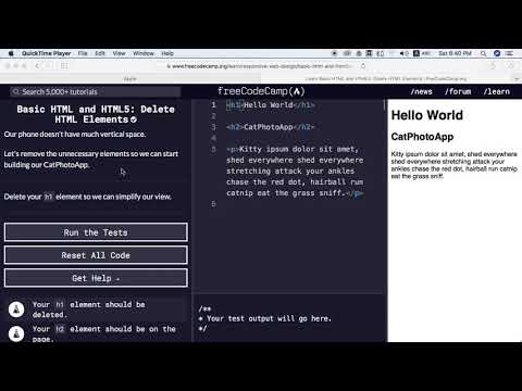 Delete HTML Elements | freecodecamp