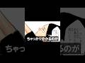 烏野を研究していた角名倫太郎