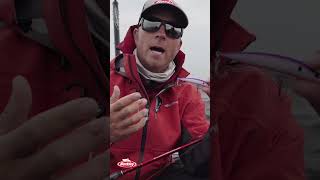 Berkley Finisher Sizes  #fishing