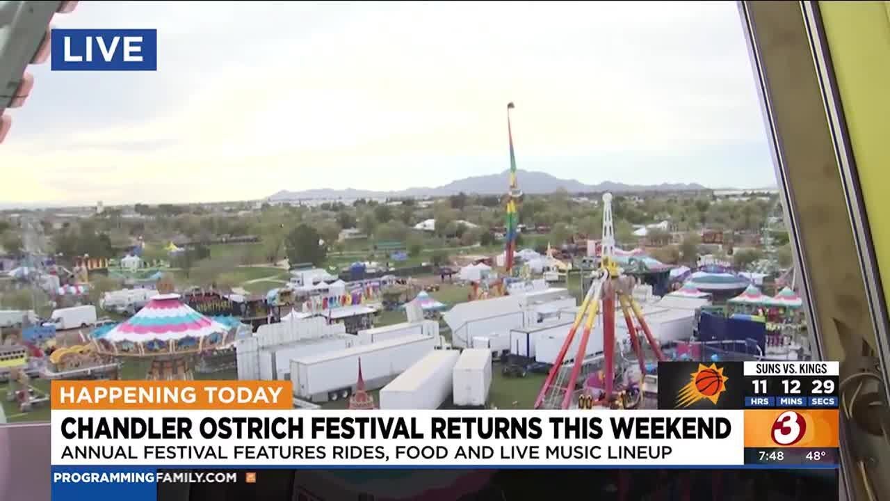 what-to-expect-as-chandler-ostrich-festival-returns-this-weekend-youtube