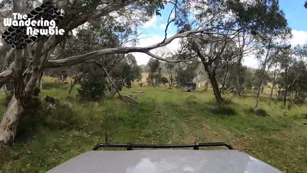 Howitt Hut Campground - Alpine NP - Victoria