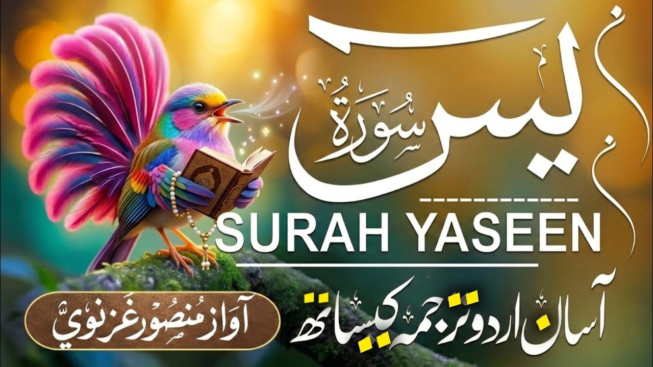 Surah Yasin ( yaseen ) With Urdu Translation |(سورة يس )🌿 Quran with Urdu and Hindi Tarjuma |Epi 316