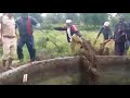 Leopard | rescue operation | Igatpuri | Nashik