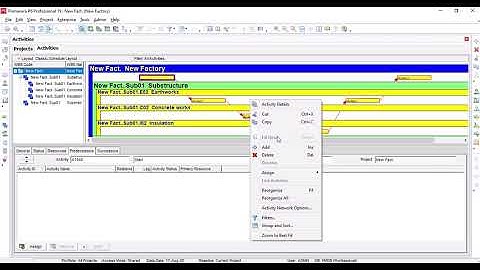 Primavera P6 Professional:  08 Log file and AON