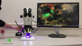 Leica S9i Fluorescence