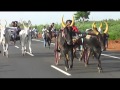 Rekla Race 2013 Kalanivasal(BJP) Puthupatti Ganapathi