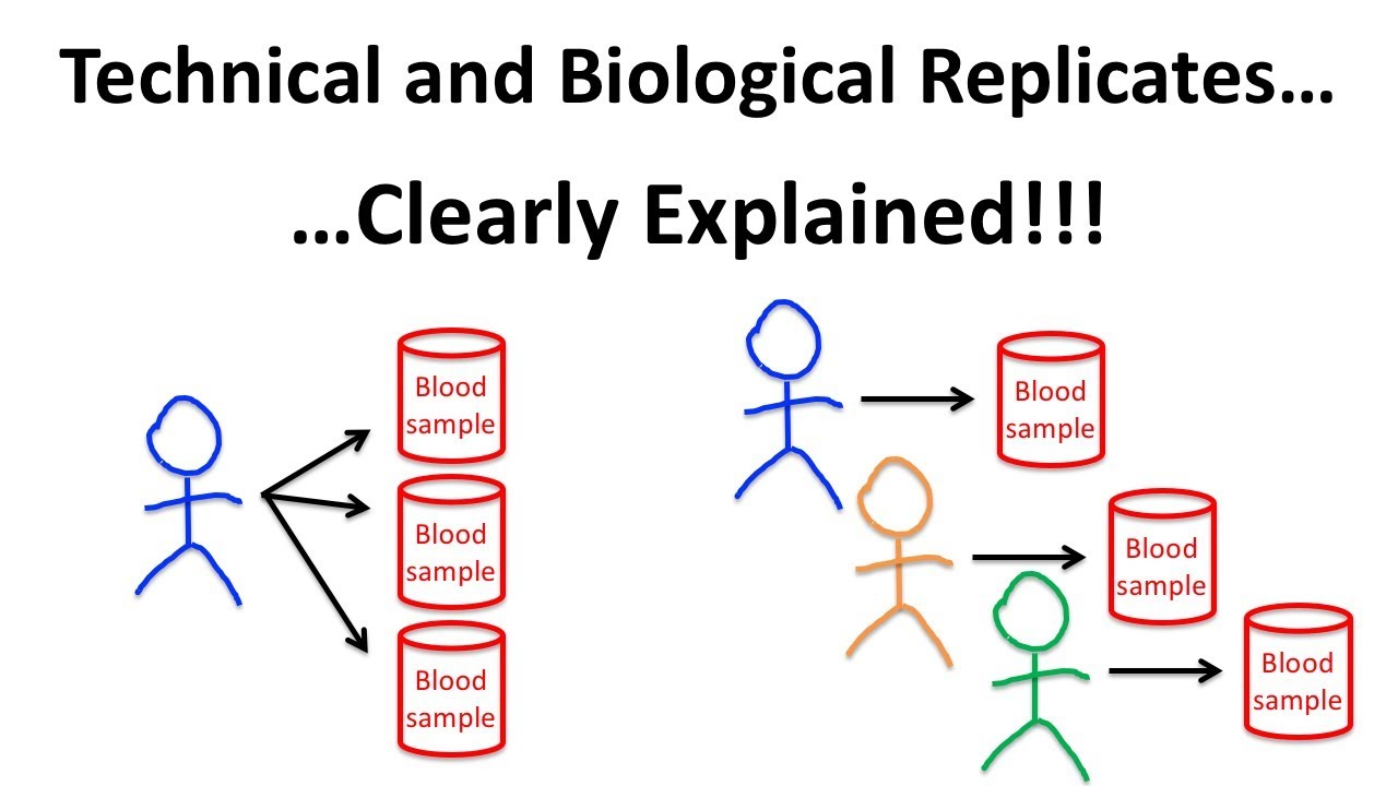 Replicate forf face to many. Replicate. Replicating meaning. Gpfgan replicate. Face to many replicate.