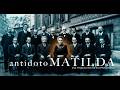 ¿Qué es el Efecto Matilda? El documental que cambia la historia de Doñana