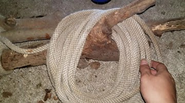 Lashing a tripod to build a teepee