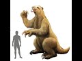 Cryptids and monsters  beast of boonville a gigantic sloth cryptid