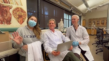 Cat Dissection (Intro)