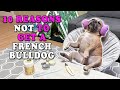 10 Reasons NOT To Get A French Bulldog の動画、YouTube動画。