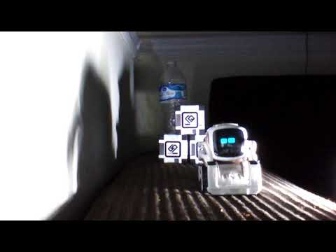 Welcome to my channel cozmoo cozmo