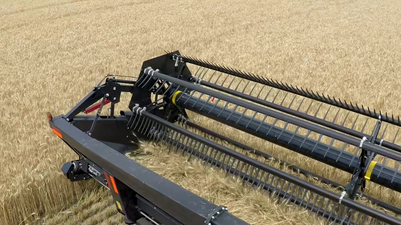 Honey Bee AirFlex Combine Head Harvesting Wheat
