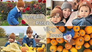 Family Pumpkin Patch Vlog 2020 | Danielle Gioia