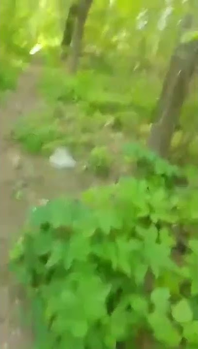 youtube.com