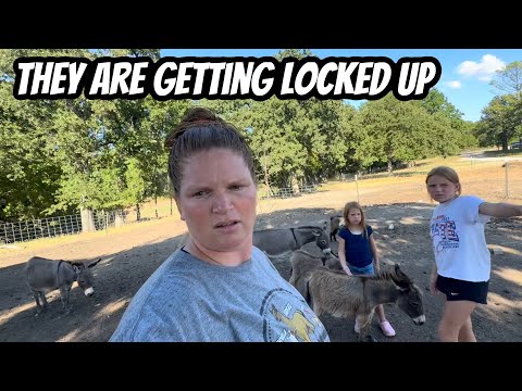 They Are Making Me Mad!!!