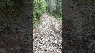 Unas cuantas piedras en la bajada #offroad #enduro #adventure #mexico #méxico #nature