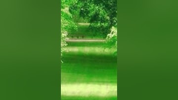 #بلغوا_عني_ولو_آية #اسلامية #آيات #تيك_توك #اكسبلور #قران_كريم #اية#tiktok #explor