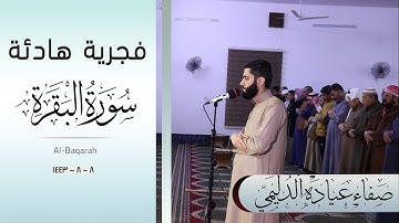 فجرية هادئة للقارئ : د . صفاء عيادة الدليمي