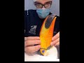 Abused toucan restored with prosthetic beak