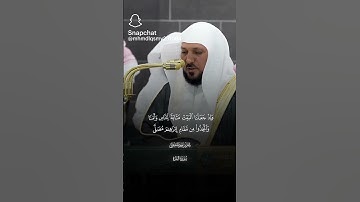 سورة البقرة تلاوة الشيخ ماهر المعيقلي