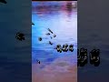 اللهم نسالك العفو والعافيه والجنة 