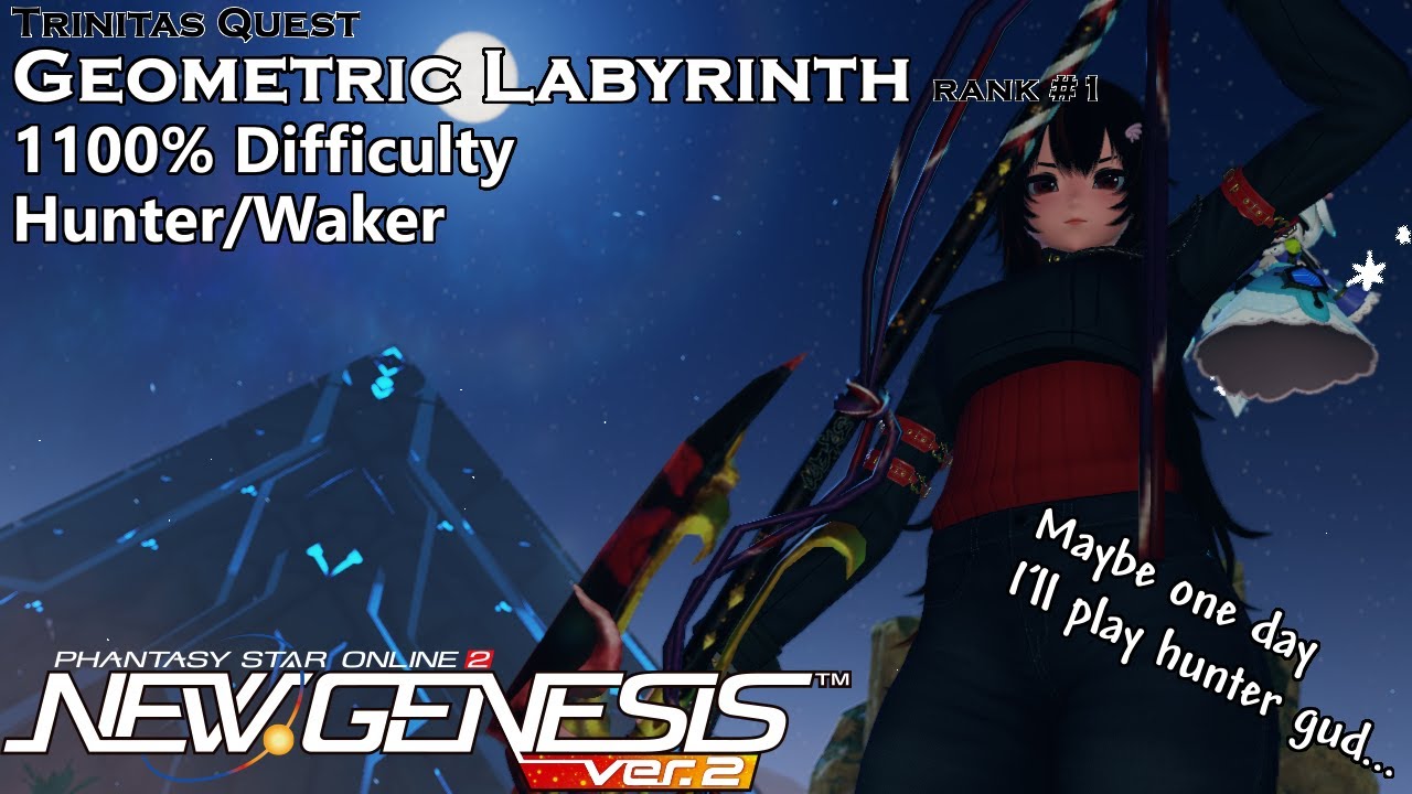 [PSo2:NGS] Geometric Labyrinth Rank #1 Max%  Hunter/Waker