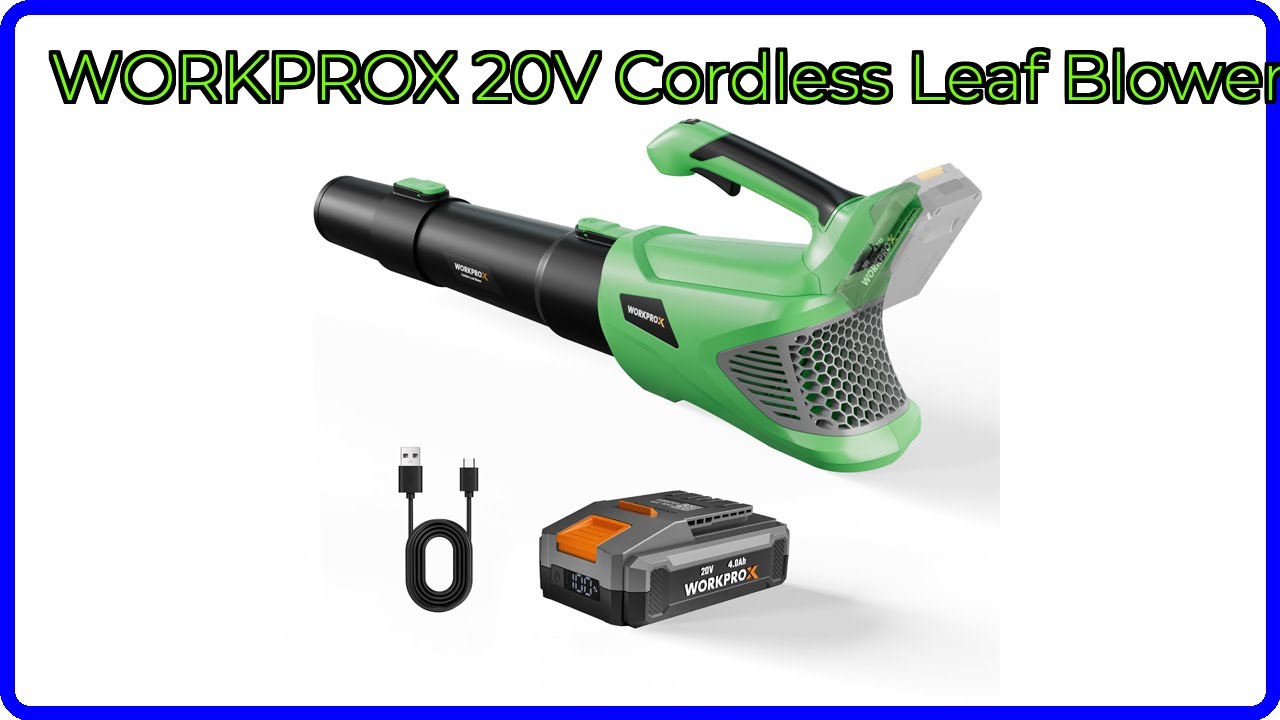REVIEW (2025): WORKPROX 20V Cordless Leaf Blower. ESSENTIAL details.